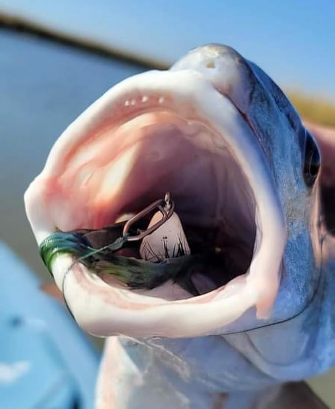 Top Water Co. Fishing Speed Clips - Durable Stainless Steel, Fast Lure Connector (Multiple Sizes)