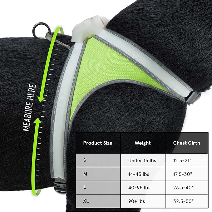 Noxgear LightHound (X-Large) + Wrist Light – Illuminated and Reflective Harness for Dogs Including Multicolored LED Fiber Optics (USB Rechargeable, Adjustable, Lightweight, Rainproof)