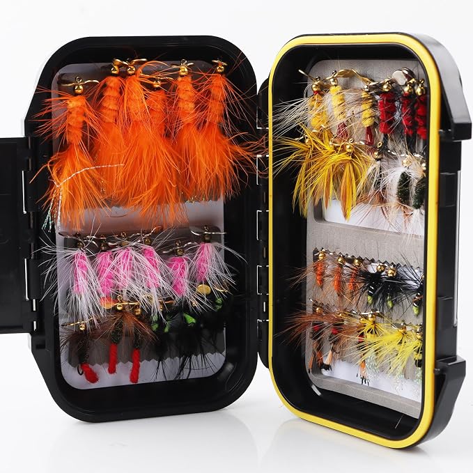 Fly Fishing Flies Assortment Kit Dry Wet Nyphms Tenkara Popper Streamer Woolly Bugger for Trout Bass Salmon Steelhead with Fly Box