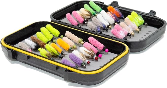 24/36/50/66 Premium Hand Tied Fly Fishing Flies Assortment | Waterproof Fly Boxes | Dry, Wet, Nymphs, Streamers, Wooly Buggers, Terrestrials | Trout, Bass Lure Set, Kit, Gift