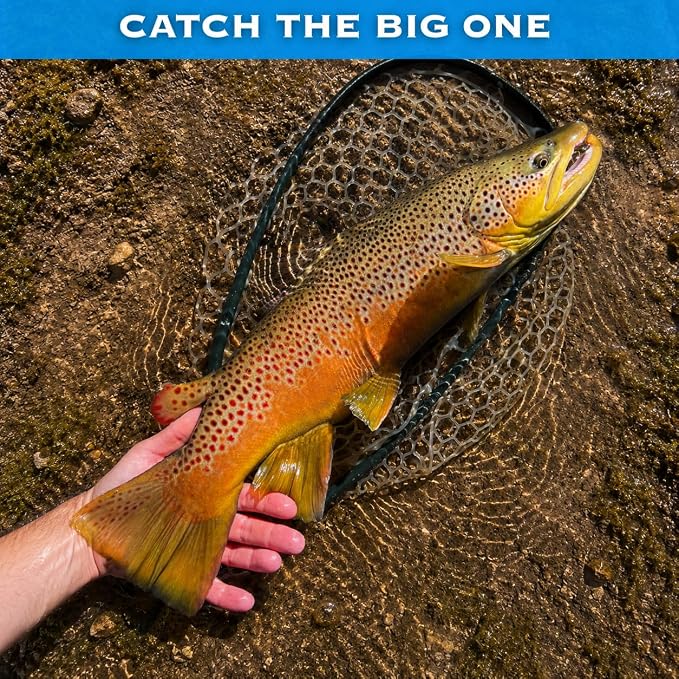 64-268 Piece Fly Fishing Flies Kit | Premium Hand Tied Trout Flies Assortment | Dry Flies, Nymphs, Streamers, Wooly Buggers, Terrestrials | Fly Box, Fly ID Card | Bass, Panfish