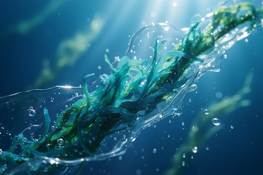 Blue Algae: Discover the "Retinol of the Ocean" for Natural Anti-Aging