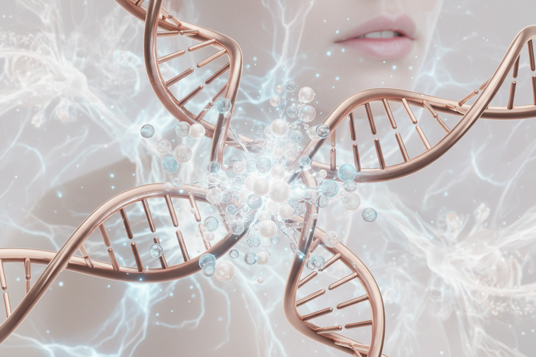 The Future of Longevity: How Epigenetic Skincare Rewrites Your Skin's Story
