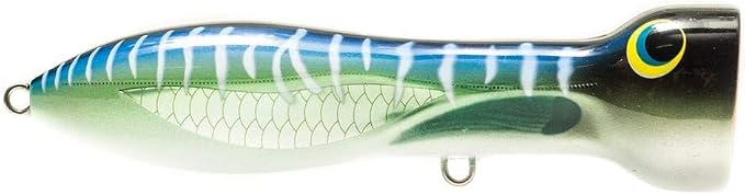 Nomad Design Chug Norris 6” (150mm) Topwater Floating Popper Fishing Lure with BKK Hooks & Durable Diamond Armour, for Bluefin & Yellowfin Tuna, Cubera Snapper, & Roosterfish