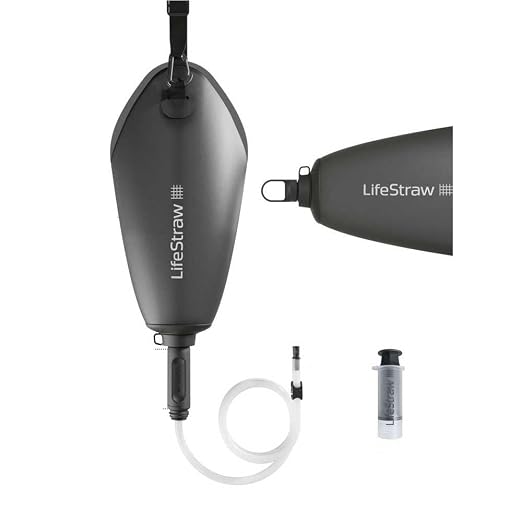 LifeStraw Peak Series — Compact Gravity Water Filter System - 3L for Backpacking, Group Camping, Hiking and Travel, Dark Mountain Gray