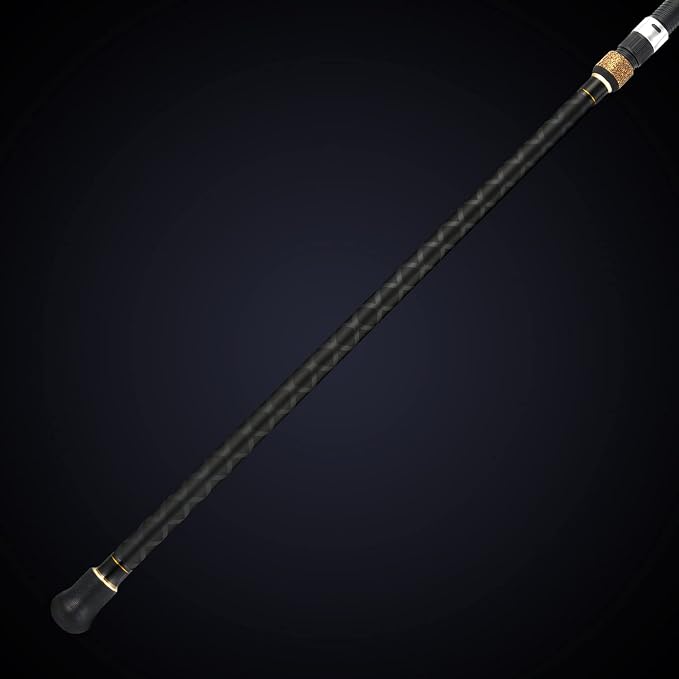 Berrypro Surf Spinning & Casting Fishing Rod Carbon Fiber Travel Fishing Rod(9-Feet & 10-Feet & 12-Feet & 13.3-Feet)