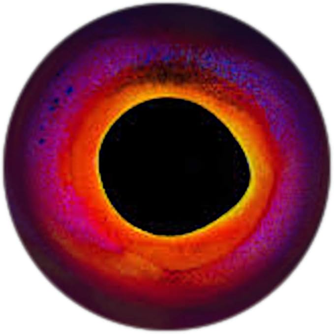 Brule 3-D Holographic Epoxy Fish Eyes (5mm-20mm) 60 Pack, Handpoured, Fishing Fly Tying Lures DIY Crafts