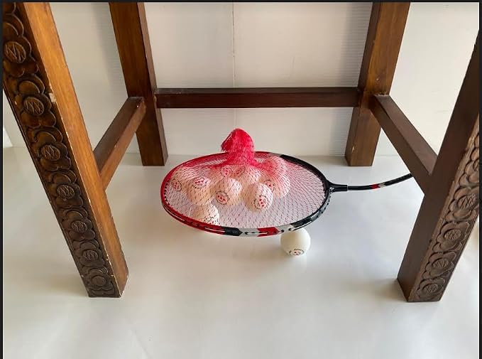 Table Tennis Ball Picker
