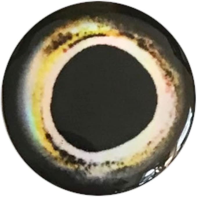 Brule 3-D Holographic Epoxy Fish Eyes (5mm-20mm) 60 Pack, Handpoured, Fishing Fly Tying Lures DIY Crafts