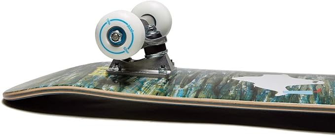 [CCS] Mini Skateboard for Kids & Youth | 7” Wide | Maple Wood | Fully Assembled with Skate Tool & Stickers | Boys & Girls