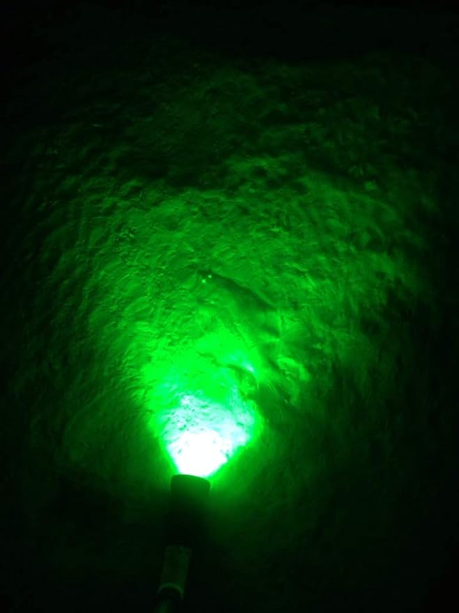 Oznium Eclipse High Power 12V LED Light for Flounder Gigging, Black Aluminum Housing, 20 Watt, Green LED Color