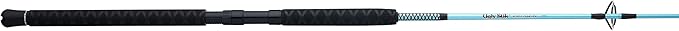 Ugly Stik Carbon Jigging Spinning Fishing Rod