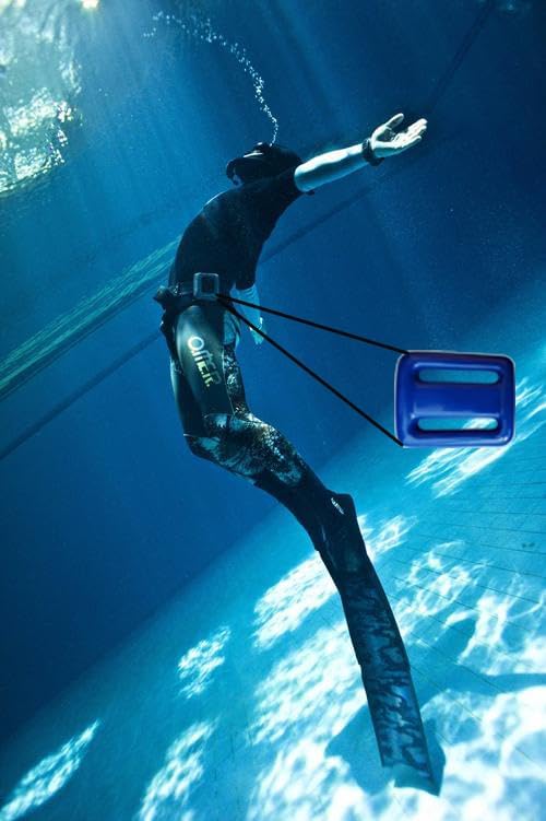 Dive Weights for Scuba Diving Weight Belt(1lb-4.4lb / 0.5kg-2kg),Vinyl Scuba Weights, Coated Dive Weights,Coated Lead Diving Weights, Dive Belt Weights for Freediving, Spearfishing