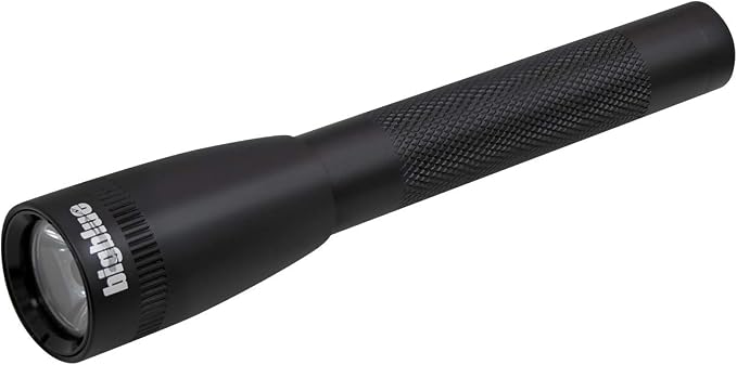 BigBlue AL250 250 Lumen Waterproof LED Flashlight