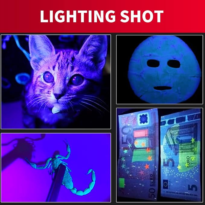 GREATFISHING Fly Tying UV Clear Glue and Power Light Combo Three Bottles Thick Thin and Soft +12 LED Light for Building Flies Heads Bodies Wings and Gluing Eyes