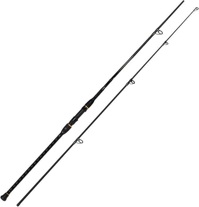 Fiblink Surf Spinning Fishing Rod 2 Piece Carbon Fiber Portable Travel Spinning Rod (10-Feet & 12-Feet)
