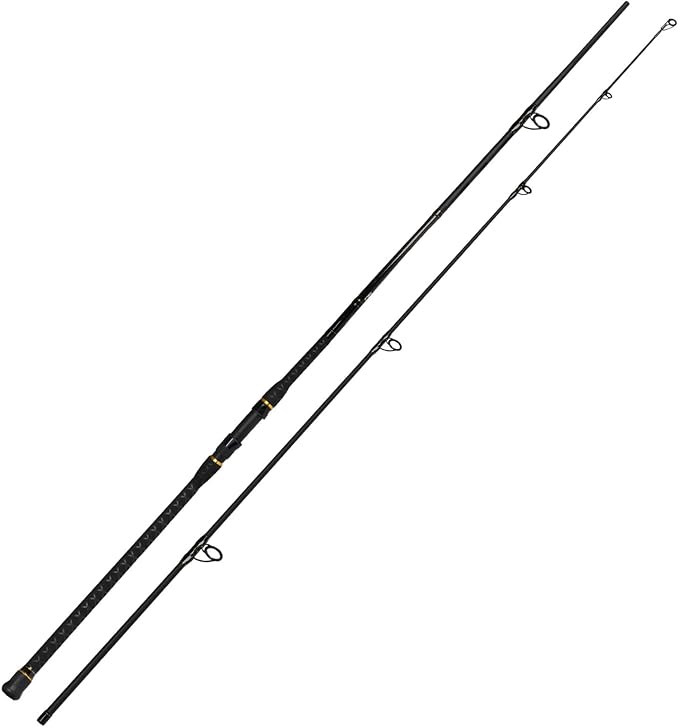 Fiblink Surf Spinning Fishing Rod 2 Piece Carbon Fiber Portable Travel Spinning Rod (10-Feet & 12-Feet)