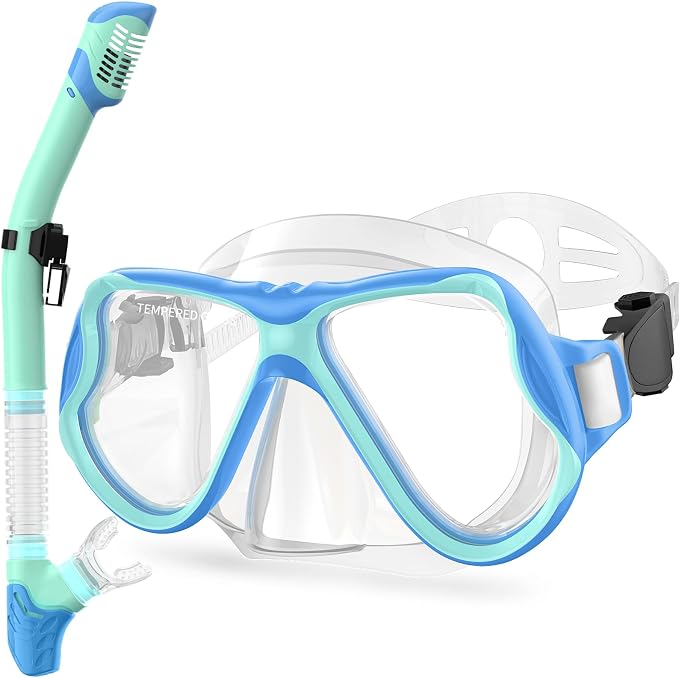Greatever Snorkeling Gear for Adults, Dry Snorkel Set Panoramic View Snorkel Mask, Anti-Leak Anti-Fog Scuba Diving Swimming Mask with Adjustable Strap and Travel Mesh Bag