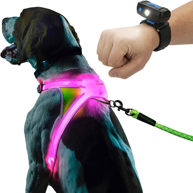 Noxgear LightHound (Large) + Wrist Light – Illuminated and Reflective Harness for Dogs Including Multicolored LED Fiber Optics (USB Rechargeable, Adjustable, Lightweight, Rainproof)