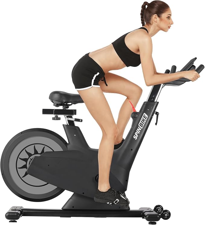 Magnetic Exercise Bike, 300 Lbs Capacity Stationary Bike with Adjustable Seat & Tablet Holder, Indoor Cardio Workout Cycling Bike, Silent Belt Drive Fitness Equipment, Silver