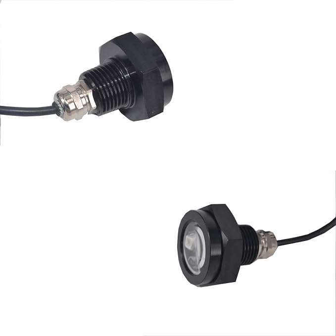 RGB LED 1/2in NPT Boat Drain Plug Light Underwater Lights with 4-Key RF Remote Control,DC12V,50000hr Lifespan Marine Led Lamp for Garber-Fishing,Swimming,Diving(Pack of 2)