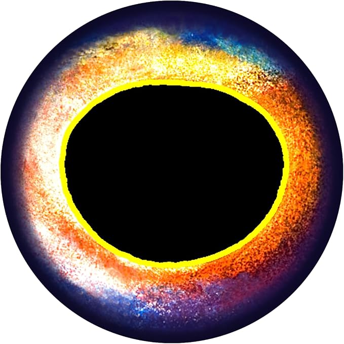 Brule 3-D Holographic Epoxy Fish Eyes (5mm-20mm) 60 Pack, Handpoured, Fishing Fly Tying Lures DIY Crafts