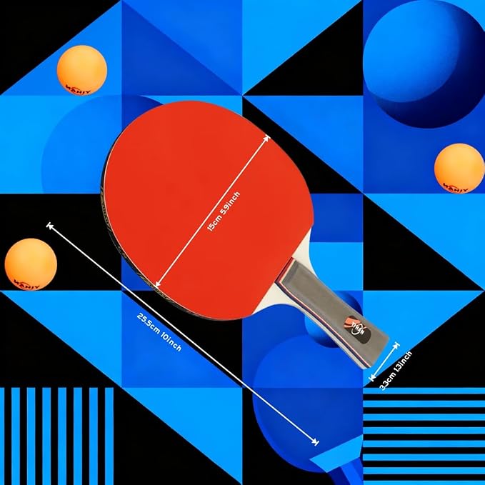 Family Premium Ping Pong Paddles Set of 4 - Advanced Table Tennis Rackets, 6 Training Ping Pong Balls, Competitive or Recreational Play - Indoor and Outdoor Compatible