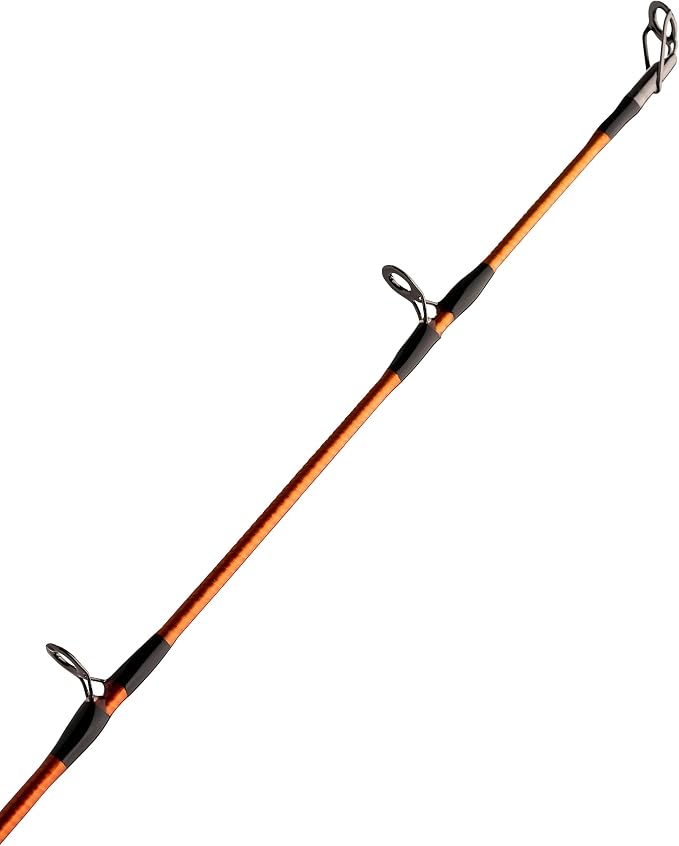 Ugly Stik Carbon Catfish Casting Fishing Rod