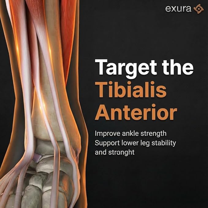 Exura Tib Bar Adjustable Tibialis Trainer for ATG & Knees Over Toes, Fits 1” and 2” Plates, Tibialis Bar for Shin, Ankle & Lower Leg Strength, Calf Raise & Leg Extension Workouts