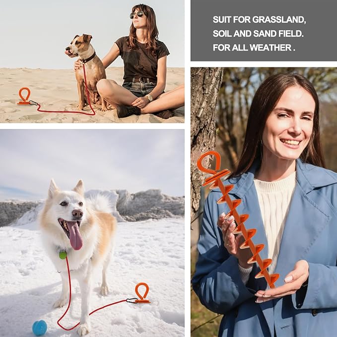 Eurmax USA 2-Pack Heavy Duty Dog Tie Out Stake, No-Tangle In Ground Anchor Runner for Large Dogs up to 210 Lbs - Perfect for Yard, Beach and Camping (Large,Orange)
