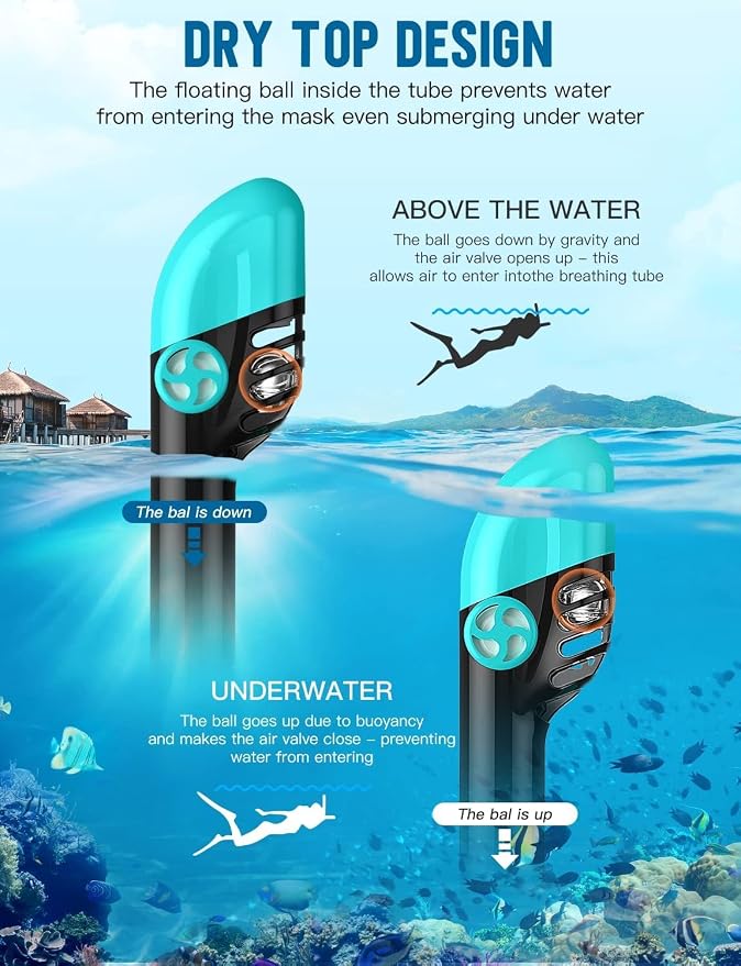 Full Face Snorkel Mask for Adults, 180° Panoramic Anti-Fog Snorkeling Gear with Dry Top System & Camera Mount, Foldable Anti-Leak Design for Travel, Swimming & Ocean Snorkeling