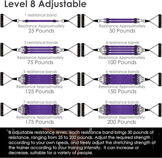 Resistance Bands Set with Handles, 8 Levels up to 200 lb, Door Anchor, Foot Plate, Carry Bag, Home Gym Exercise Equipment for Full Body Workout