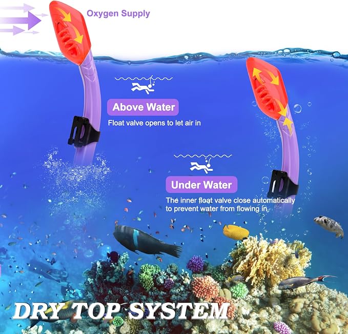 2 Sets Snorkeling Gear for Kids, Kids Snorkel Set for Ages 6-14, Dry Top Snorkel Mask Set for Youth Boys Girls Junior, Tempered Glass Diving Swimming Mask Goggles
