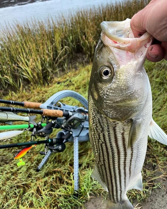 Rod-Runner Fishing Rod Carrier | Pro 5 Portable Rod Rack