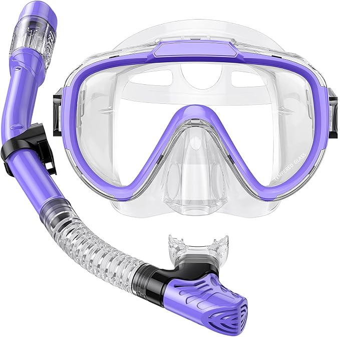 Seovediary Snorkel Set Adults Snorkeling Gear Anti-Fog Panoramic View Swim Mask Dry Top Snorkel Kit with Carry Bag for Snorkeling Scuba Diving Swimming Travel