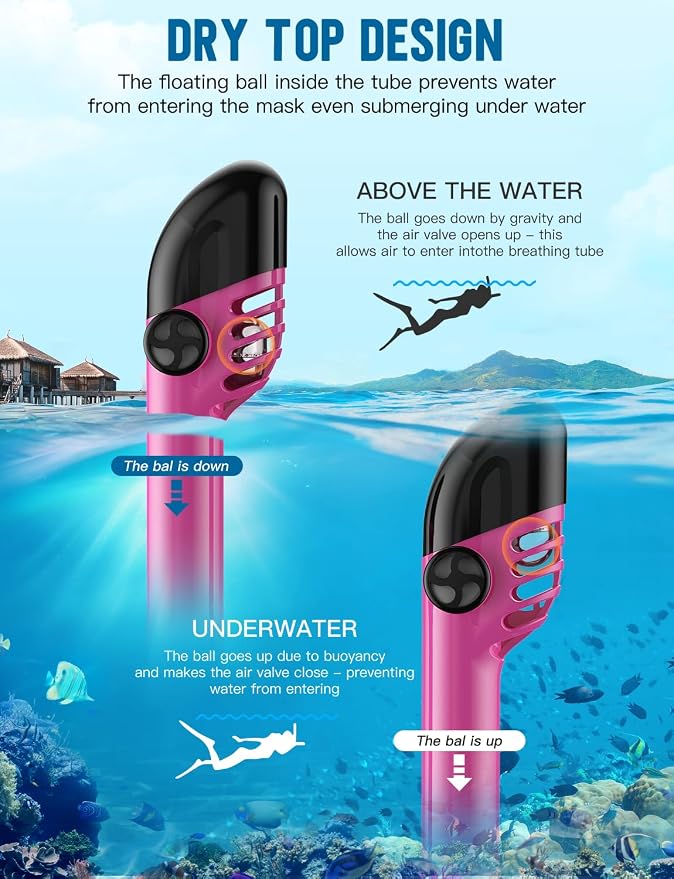 Full Face Snorkel Mask for Adults, 180° Panoramic Anti-Fog Snorkeling Gear with Dry Top System & Camera Mount, Foldable Anti-Leak Design for Travel, Swimming & Ocean Snorkeling