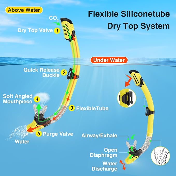 Snorkeling Gear for Adults, Snorkel Mask With Mirrored Tempered Glass Lens 180° Wide View Anti-Fog Scuba Diving Mask, Professional Snorkel Set for Swimming Diving, Gifts for Women Mom Men Dad