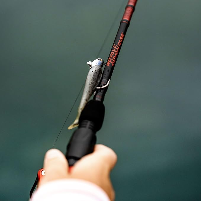 KastKing Royale Advantage Fishing Rod, Spinning Rod & Casting Rod, IM6 Graphite Blanks, 2-Pieces Rods with Extra Tip Section,KastFlex Technology, Power Transition System, EVA Handle