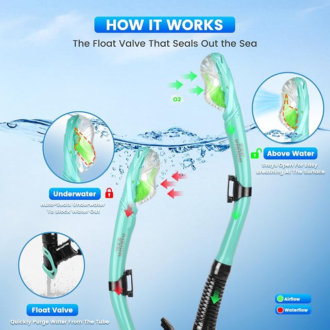 2 Pack Snorkel Mask for Adults - 180° Panoramic View, Anti-Fog Shatterproof PC Lens, Dry Snorkel Set for Diving, Swimming & Travel