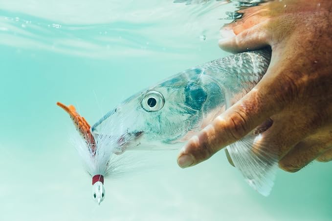 Berkley Gulp! Shrimp Saltwater Fishing Soft Bait
