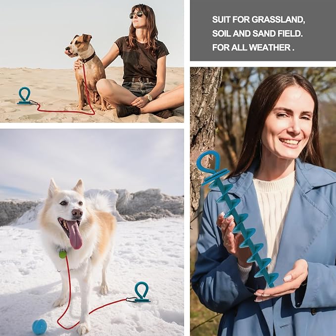 Eurmax USA Heavy Duty Dog Tie Out Stake, No-Tangle In Ground Anchor Runner for Large Dogs up to 210 Lbs - Perfect for Yard, Beach and Camping (Large,Navy Blue)