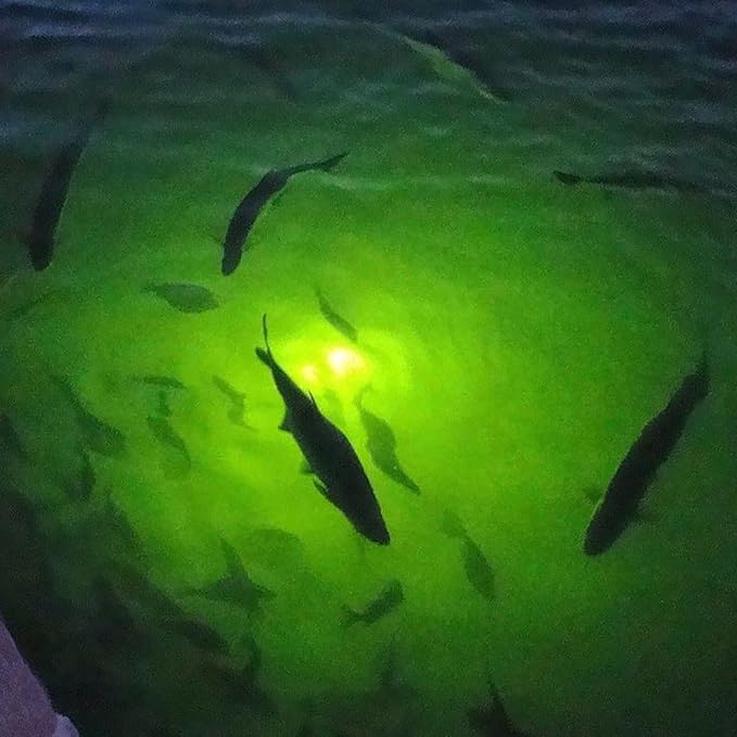 100W DC 12V IP68 Waterproof Aluminum High Power Glowing Boat Fish Attractants Lure Green Submersible Fishing Lights LED Underwater for At Night Snook Crappie with Battery Clips Cigarette Charger Plug