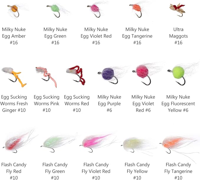 BASSDASH Fly Fishing Flies Kit Fly Assortment Trout Bass Fishing with Fly Box with Dry/Wet Flies, Nymphs, Streamers, Popper