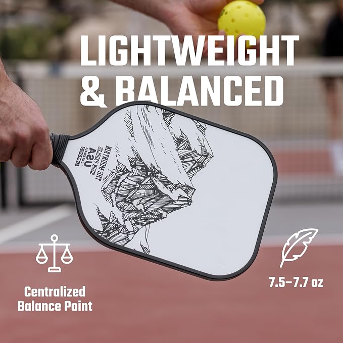 Bison Paddles: Carbon Graphite Pickleball Paddles - Lightweight Pickleball Rackets | Honeycomb Composite Core Improves Pickle Ball Placement and Increases Power | Durable Unibody Construction