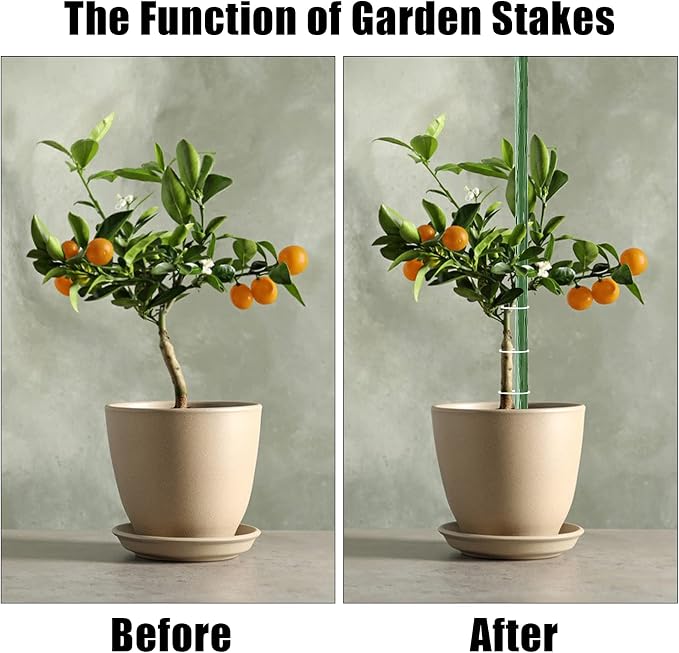 FEED GARDEN Garden Stakes 30 Inch 2.5ft 25 Pack,Sturdy Plant Metal Sticks Support,Plastic Coated Plant Stakes,Tomato Stakes,Beans,Trees
