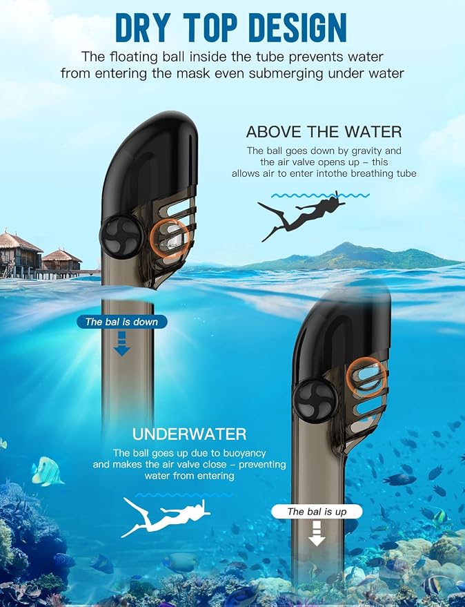 Full Face Snorkel Mask for Adults, 180° Panoramic Anti-Fog Snorkeling Gear with Dry Top System & Camera Mount, Foldable Anti-Leak Design for Travel, Swimming & Ocean Snorkeling