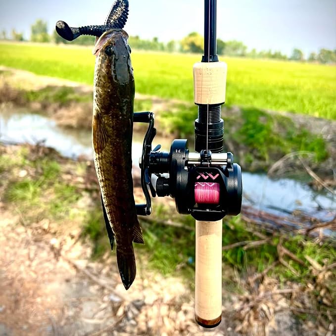PURELURE Telescopic Fishing Rod Ultralight/Light, Portable Travel Rod 5'9'' | Carbon Fiber Rod Spinning & Casting, FUJI Alconite Ring and Reel Seat, One-Piece Mixed Carbon/4A Cork Handle, Spare Solid Tip
