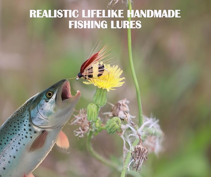 Nymphs for Fly Fishing Kit Premium Hand Tied Trout Bass Flies with Fly Box