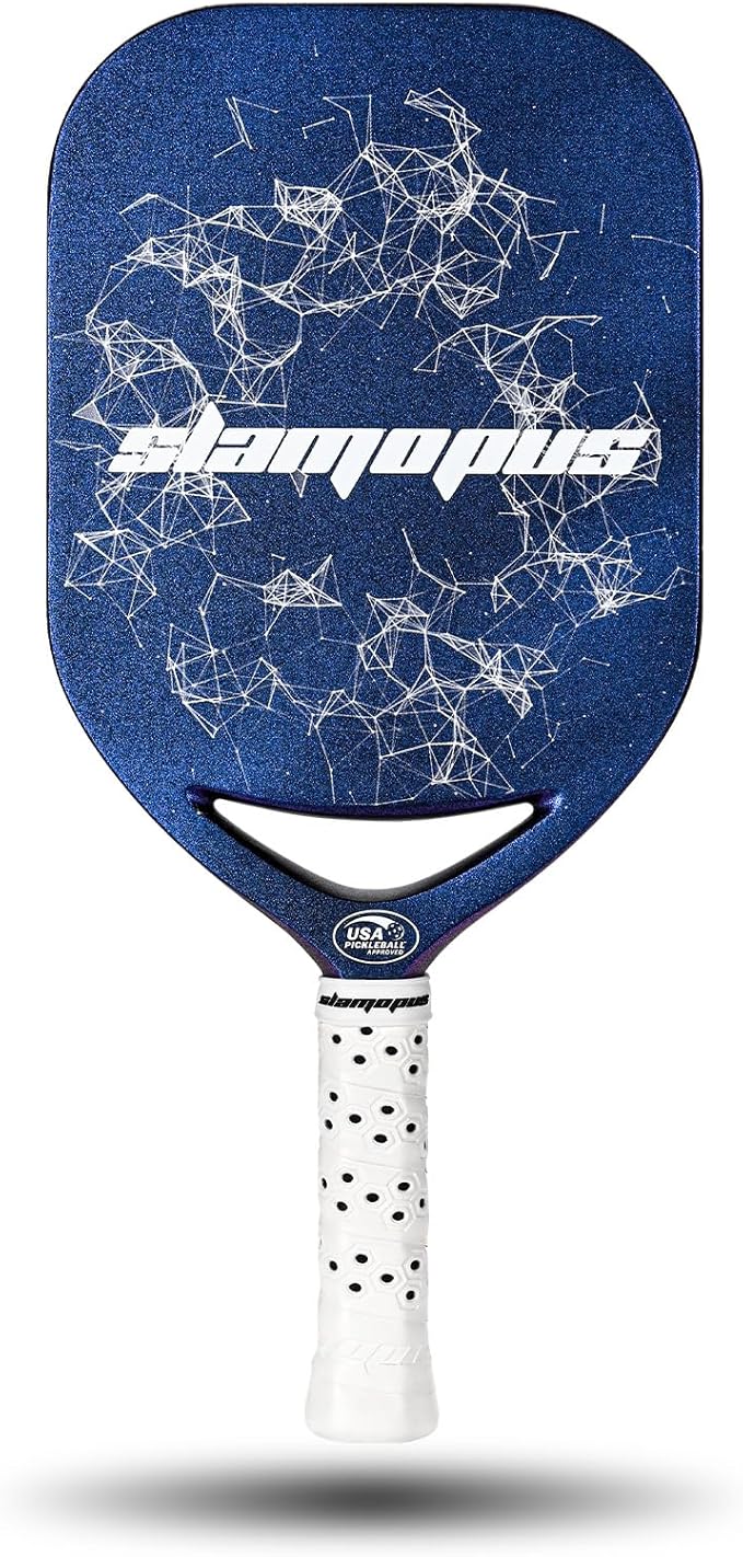 Pro Pickleball Paddle| T700 Carbon Fiber Pickleball Paddles with 16mm Polymer Honeycomb Core & Overgrips| Premium Pickle Ball Racket Enhanced Control & Spin & Power| USAPA Approved