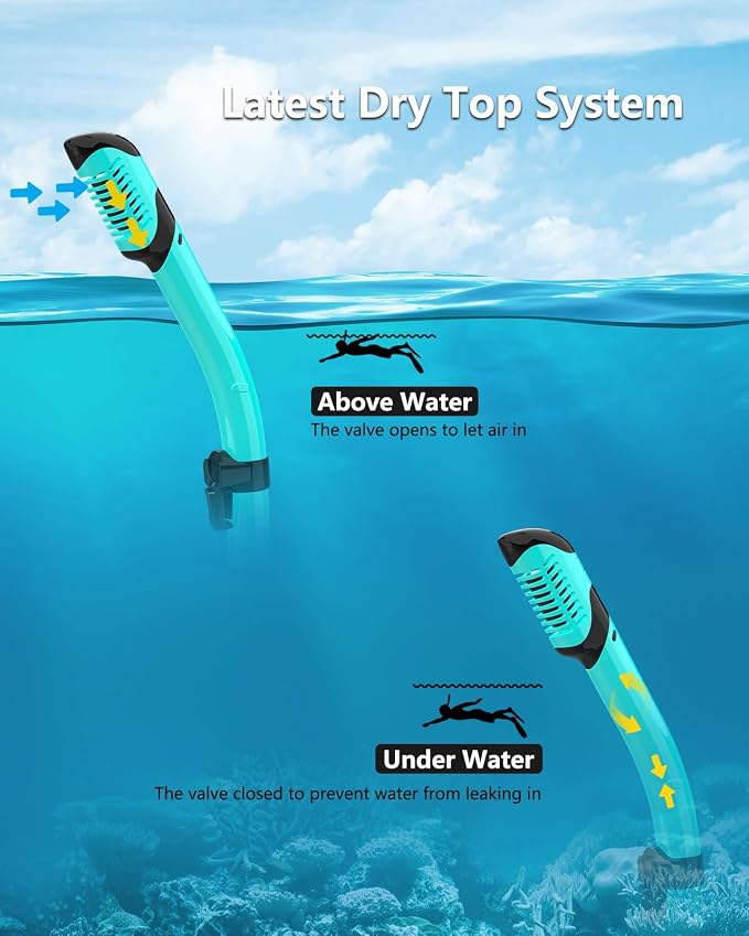 Snorkeling Gear for Adults 2-Pack | Anti-Fog & Anti-Leak Snorkeling Mask | Breath-Free Dry Snorkel | 180° Panoramic View with Quick-Dry Bags
